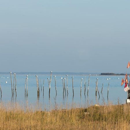 Ferret Vigne - Villa Chambres D'Hotes Lège-Cap-Ferret Exteriér fotografie