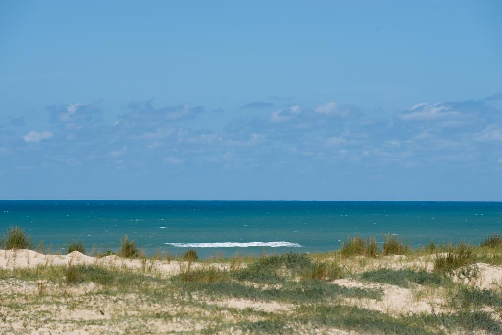 Ferret Vigne - Villa Chambres D'Hotes Lège-Cap-Ferret Exteriér fotografie