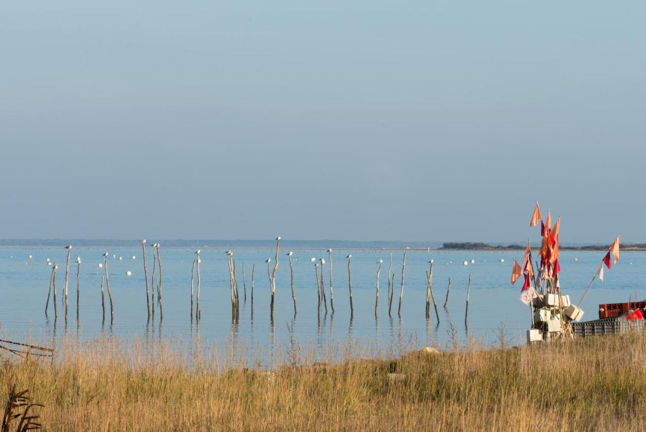 Ferret Vigne - Villa Chambres D'Hotes Lège-Cap-Ferret Exteriér fotografie